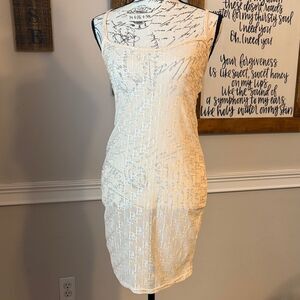 PrettyLittleThing Sheer Chemise/ Nightie